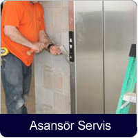 Asans� Servis ��leri